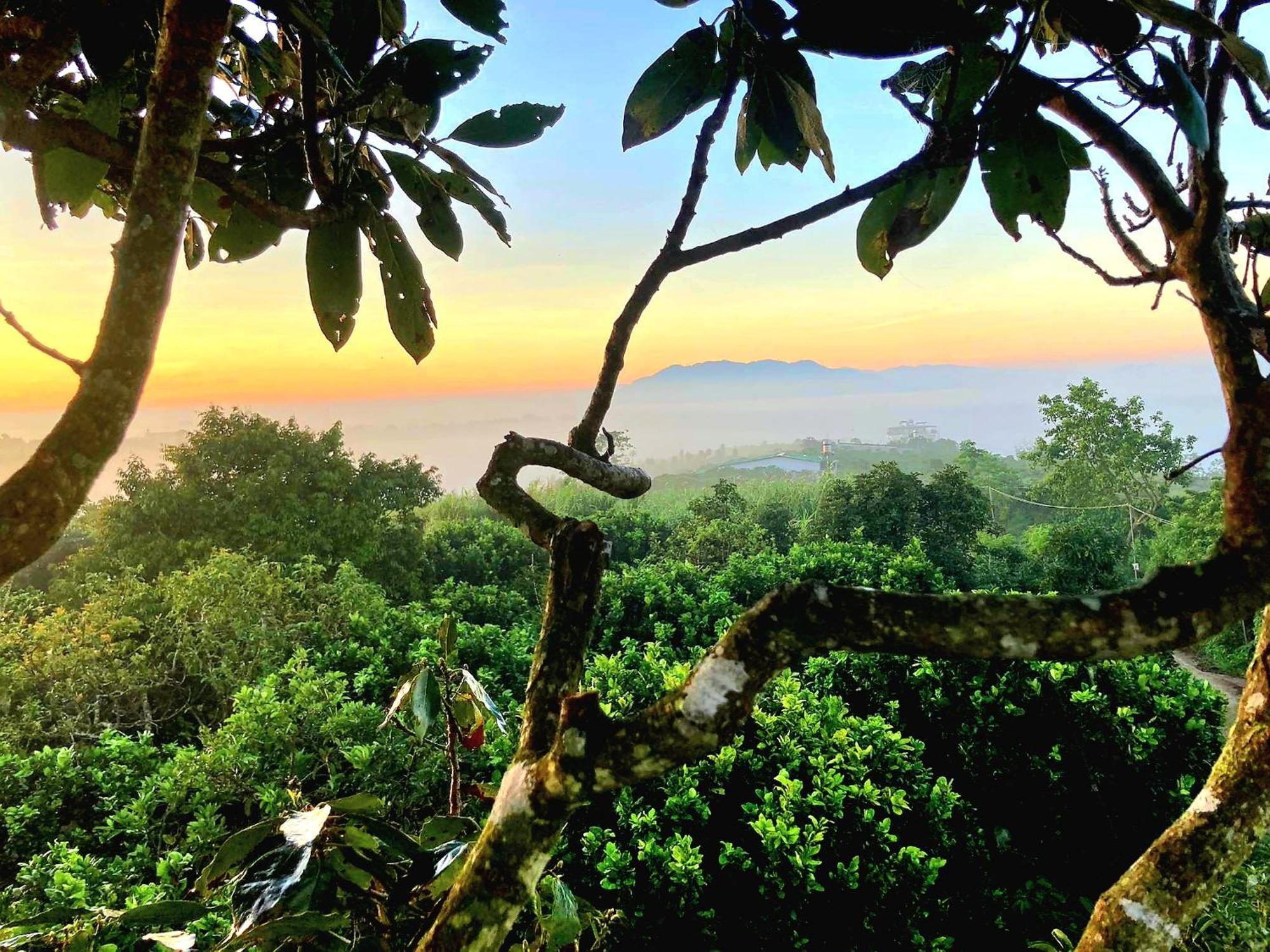 Homestay Vuon Trai Cay Nhiet Doi Vo Uu Garden Bao Loc Luaran gambar