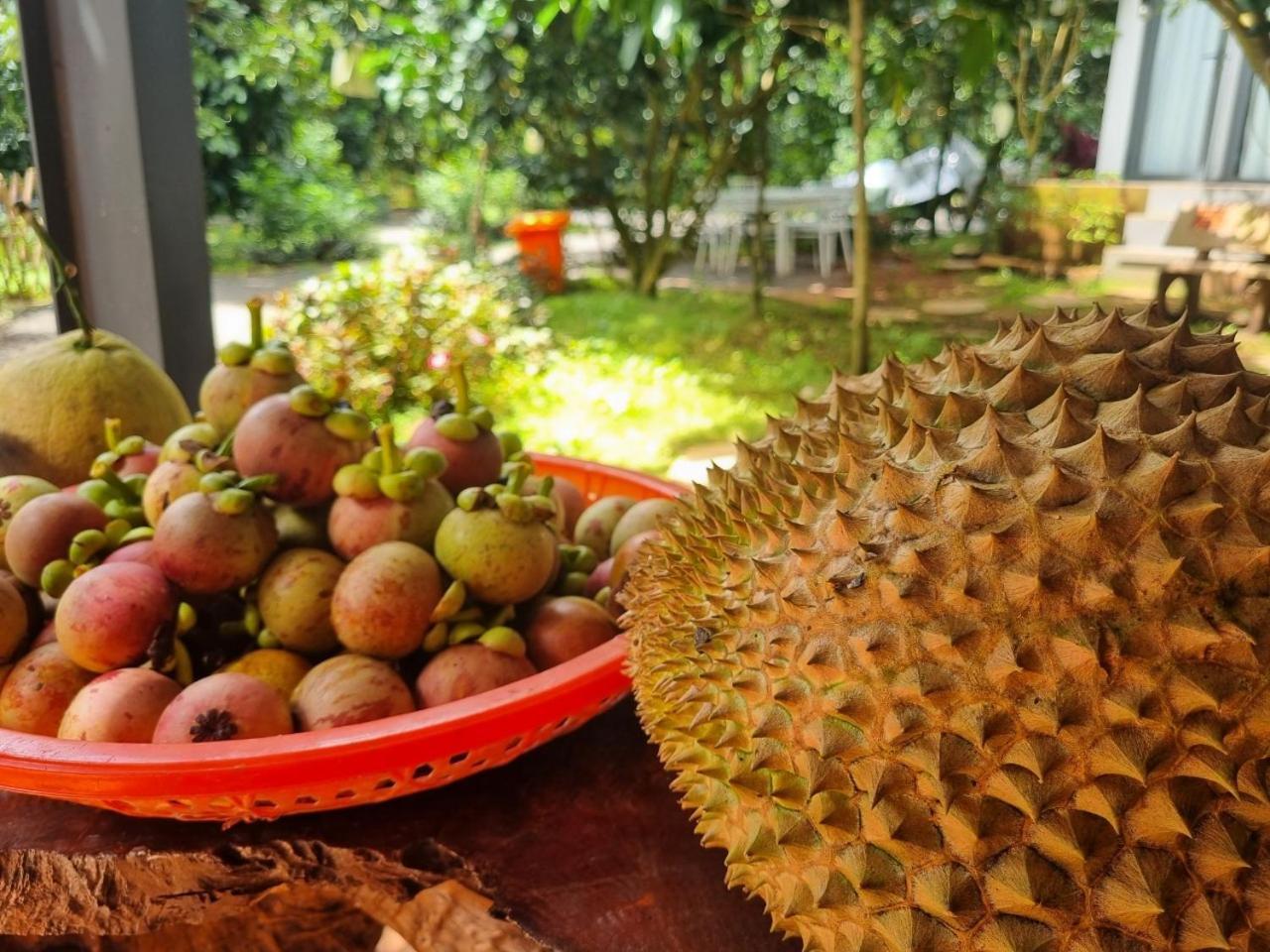 Homestay Vuon Trai Cay Nhiet Doi Vo Uu Garden Bao Loc Luaran gambar