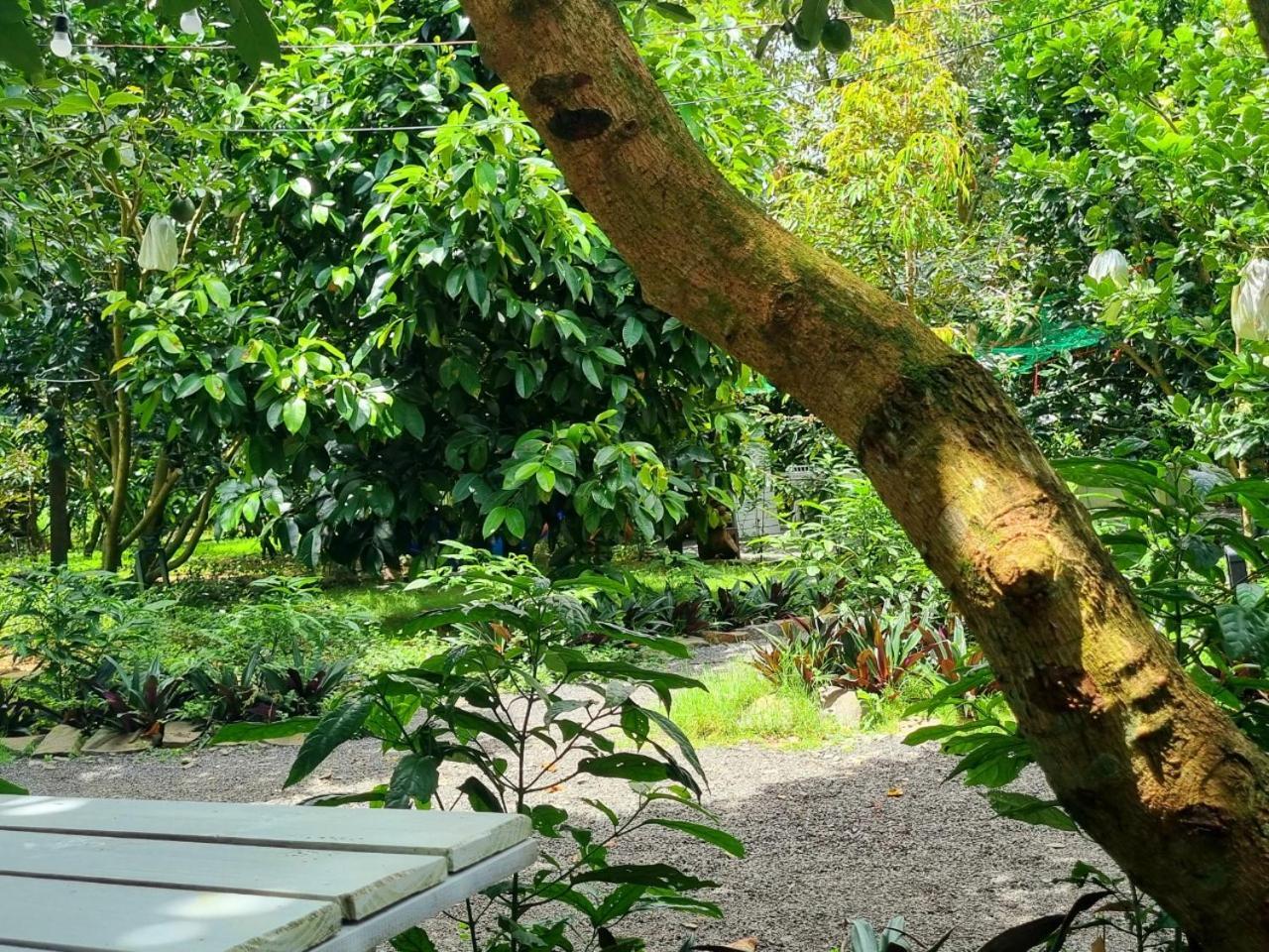 Homestay Vuon Trai Cay Nhiet Doi Vo Uu Garden Bao Loc Luaran gambar