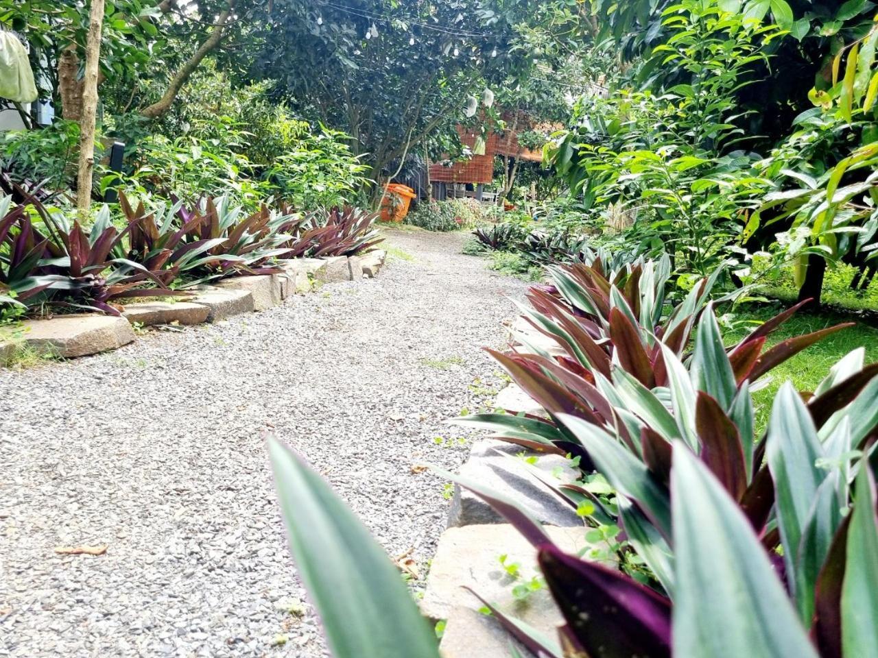 Homestay Vuon Trai Cay Nhiet Doi Vo Uu Garden Bao Loc Luaran gambar